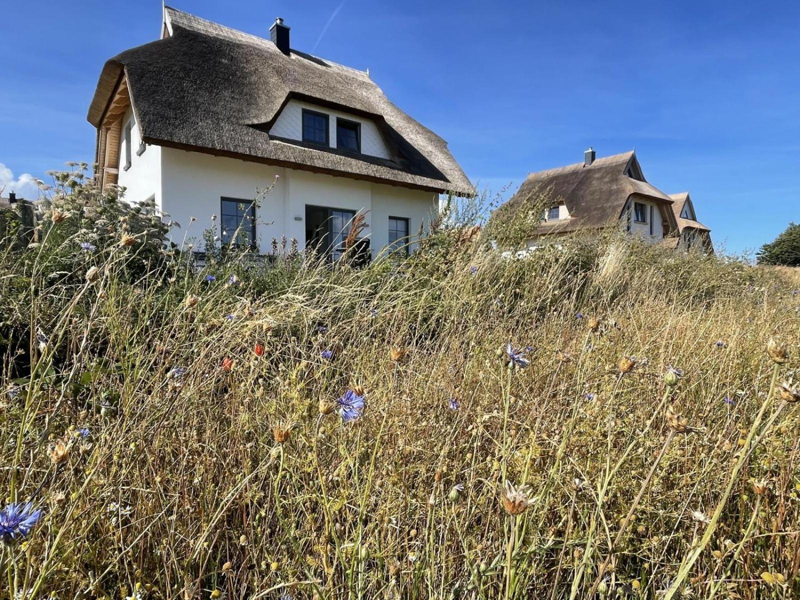 Ferienhaus "Rugard" In Dranske Villa Exterior foto